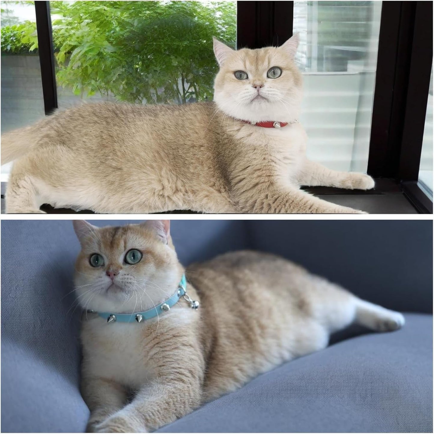 Spiked Cat Collar with Bells, Breakaway Genuine Leather Protective Collar for Kitty, Studs Spikes Punk Style Adjustable for Girl Boy Kittens Small Bunny Rabbit, 10"-12" Red