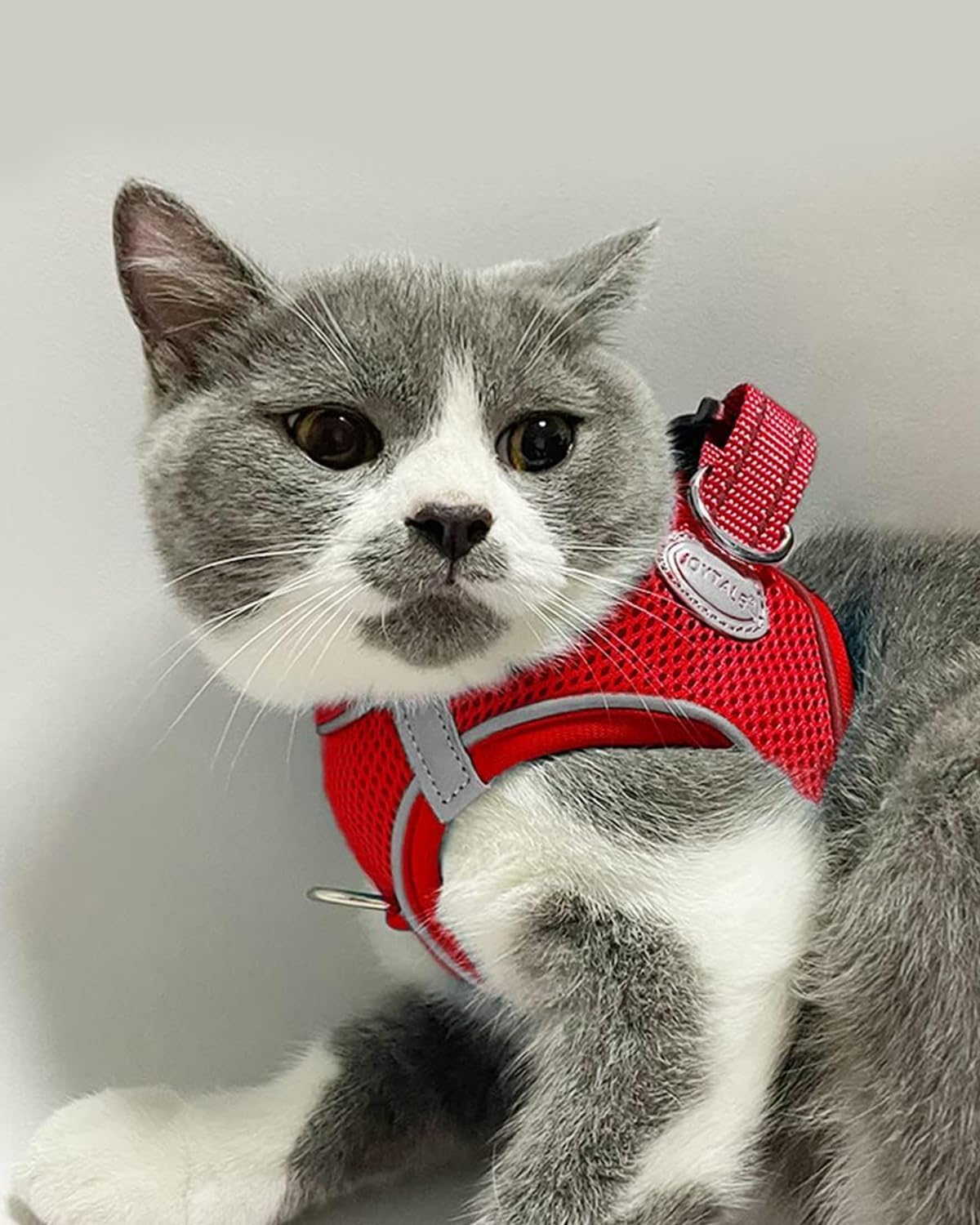 Joytale Small Dog Harness, Breathable Mesh Step-in Vest, Reflective Soft Padded Harnesses for Cats and Puppies Dogs, Red, XXXS