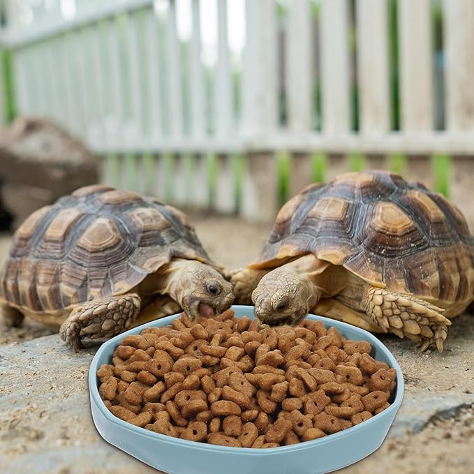 4 Pack Reptile Bowl, Round Plastic Reptile Dish,Food Dishes Lizard Tank,Lizard Water Bowl for Gecko, Bearded Dragon, Chameleon, 4.45" W x 4.45" D x 0.6" H, Muticolors
