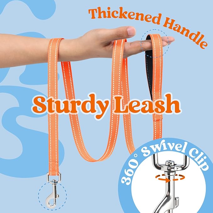 rabbitgoo Dog Harness Small Sized and Leash Set, Step-in Breathable Pet Harness, Soft Walking Reflective Puppy Vest for Small Dogs, Light Blue & Orange, XS