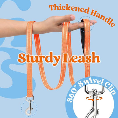 rabbitgoo Dog Harness Small Sized and Leash Set, Step-in Breathable Pet Harness, Soft Walking Reflective Puppy Vest for Small Dogs, Light Blue & Orange, L