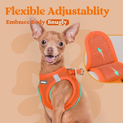 rabbitgoo Small Dog Harness, Step-in Soft Mesh Puppy Vest with Safety Buckle, Breathable Reflective Pet Harness for Small Sized Dogs, Orange M