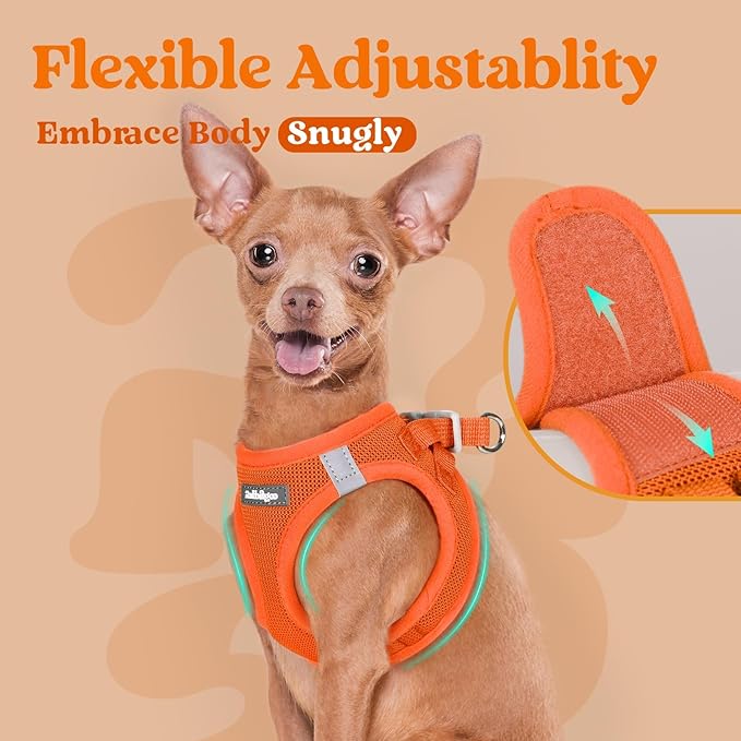 rabbitgoo Small Dog Harness, Step-in Soft Mesh Puppy Vest with Safety Buckle, Breathable Reflective Pet Harness for Extra Small Dogs, Orange XXXS