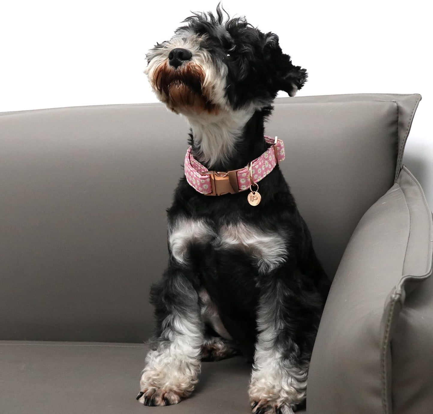 Daisy Summer Cotton Dog Collar with Metal Buckle Gift Pink Collar for Small Medium Large Girls or Boys Dogs Cute Durable Comfortable Pet Collars