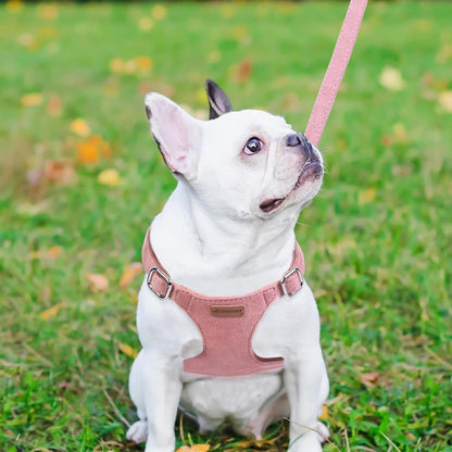 Dog Harness and Leash Set, XXS No Pull Adjustable Puppy Harness with Multifunction Pink Dog Leash and Dog Collar, Soft No Choke Escape Proof Pet Harness Vest for Small Dogs and Cats (Red, XS)