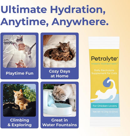 Petralyte Cat Hydration Electrolyte and Cat Joint Supplement | Hydration Support for Cats w/Glucosamine, Chondroitin, L-Glutamine, Taurine, Lysine & Prebiotics | for Chicken Lovers | 32 Packets