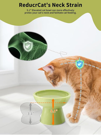 LoeJan Elevated Green Cat Bowls Set - Wide Raised Ceramic Feeder, Anti-Vomit Whisker-Free Bowl for Kittens to Adult Cats