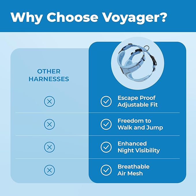 Voyager Escape Proof Cat Harness and Leash Set with Reflective Stitching, Neoprene Handle 5ft - Supports Small, Medium and Large Cats, Kittens for Walking by Best Pet Supplies - Baby Blue, XXS