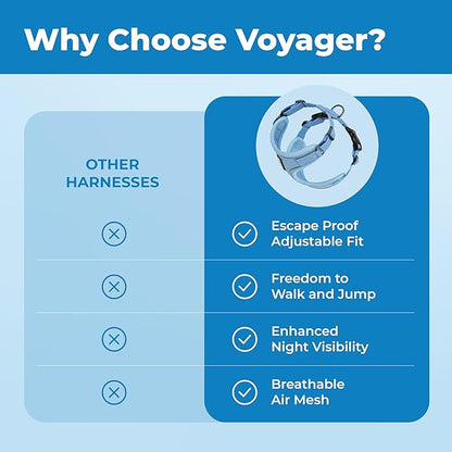 Voyager Escape Proof Cat Harness and Leash Set with Reflective Stitching, Neoprene Handle 5ft - Supports Small, Medium and Large Cats, Kittens for Walking by Best Pet Supplies - Baby Blue, XXS