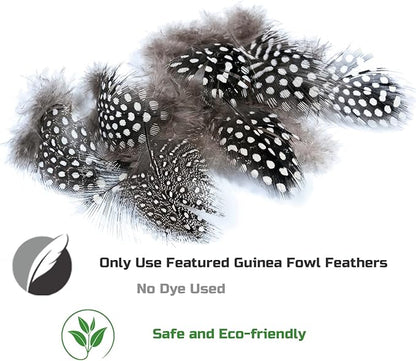 Cat Feather Toys, Interactive Cat Toys Kitten Toys, 2PCS Elasticity Cat Wand Toy and 7PCS Feathers Refills, Cat Toys for Indoor Cats Kitten Play Chase