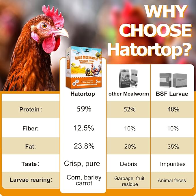 Dried Mealworms for Chickens & Birds Treats Bulk, 5LB Non-GMO Meal Worms Dried for Wild Birds, Turkeys, Reptile Feed - High Protein Grub Chicken Worms for Laying Hens, 100% Natural Mealworms Bird Food