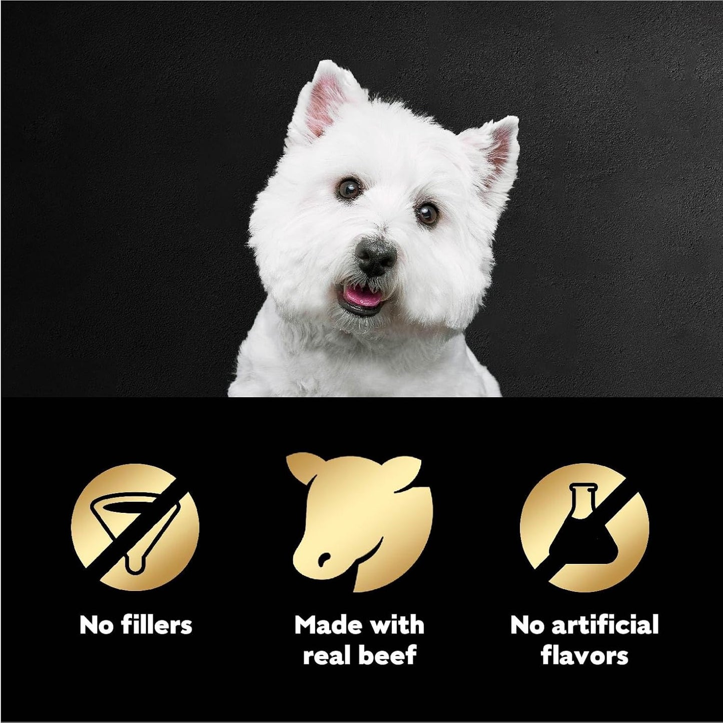 Cesar Filets in Gravy Wet Dog Food Filet Mignon Flavor, 1.76 oz. Mini-Pouch (20 Count, Pack of 1)