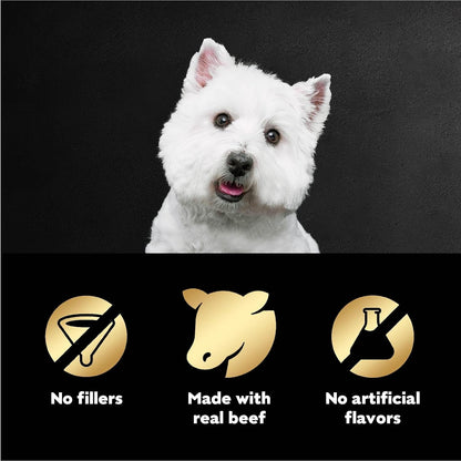 Cesar Filets in Gravy Wet Dog Food Filet Mignon Flavor, 1.76 oz. Mini-Pouch (20 Count, Pack of 1)