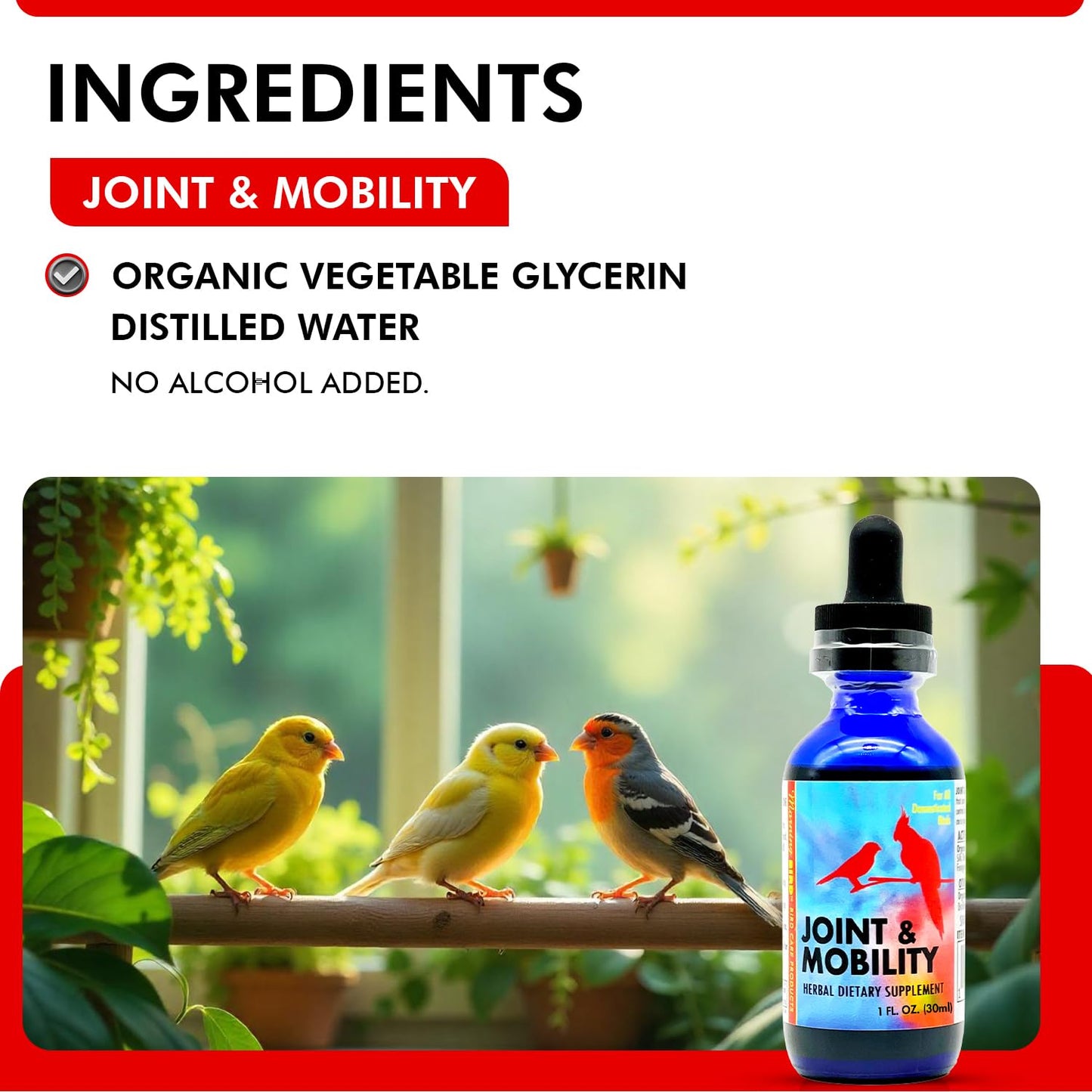 Morning Bird Joint & Mobility 1 fl oz – Muscle Pain Relief Supplement for Joint Health, Stop Pain & Arthritis Supplements – Herbal Liquid Formula for Aging, Injured, or Stressed for All Bird Types