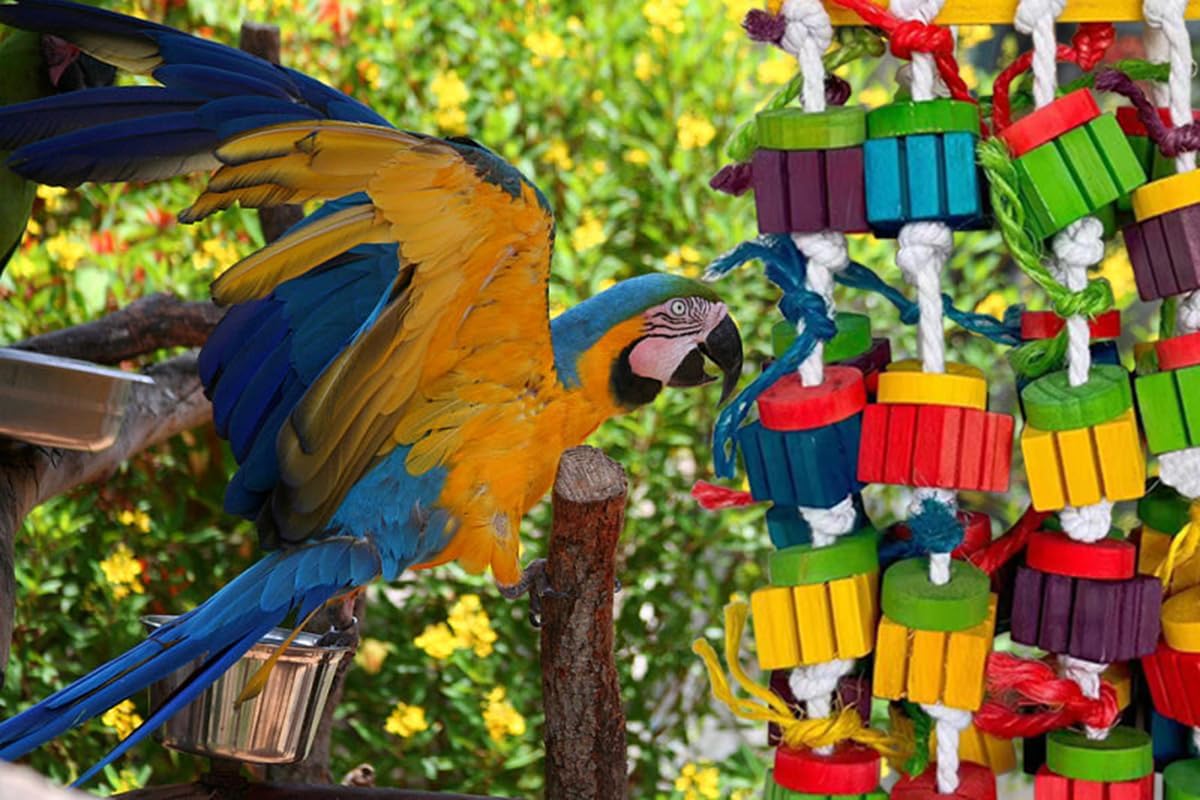 Large Bird Parrot Chewing Toys for Macaws, African Grey, Amazon Parrots, cokatoos (20 inch)