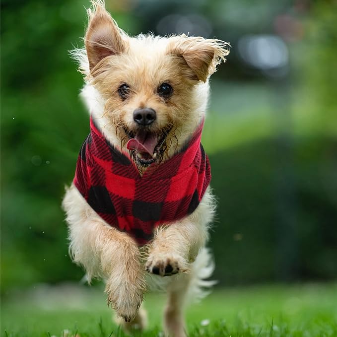 KAMA BRIDAL 3 Pack Dog Coat - Spring, Autumn, Winter - Fleece Vest for Cats & Dogs - Small & Medium - Blue & Black Plaid, Red, Pink, Purple Plaid (XS)