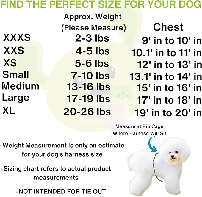 EcoBark Step in Dog Harness - Eco-Friendly Teacup Dog Harnesses for XXS, XS, and Small Dogs - Reflective and Adjustable Mini Body Halter Vest -Tiny Soft Mesh Toy Breed Harness (Black and Teal, XXS)