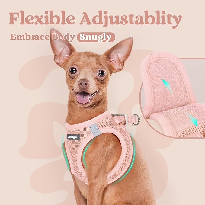 rabbitgoo Small Dog Harness, Step-in Soft Mesh Puppy Vest with Safety Buckle, Breathable Reflective Pet Harness for Extra Small Dogs, Pink XXS