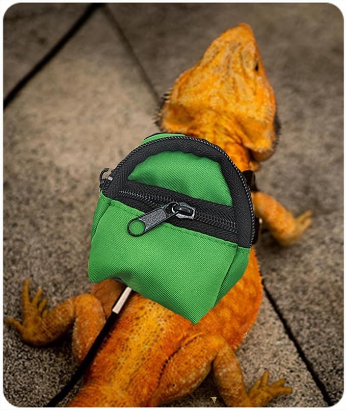 Crested Geckos Backpack Carrier,Reptile Portable Backpack Carrier with Small Backpack Harness Leash Set,Space Capsule Clear Bubble Window Travel Backpack for Lizard Travel,Guinea Pig,Bearded Dragon