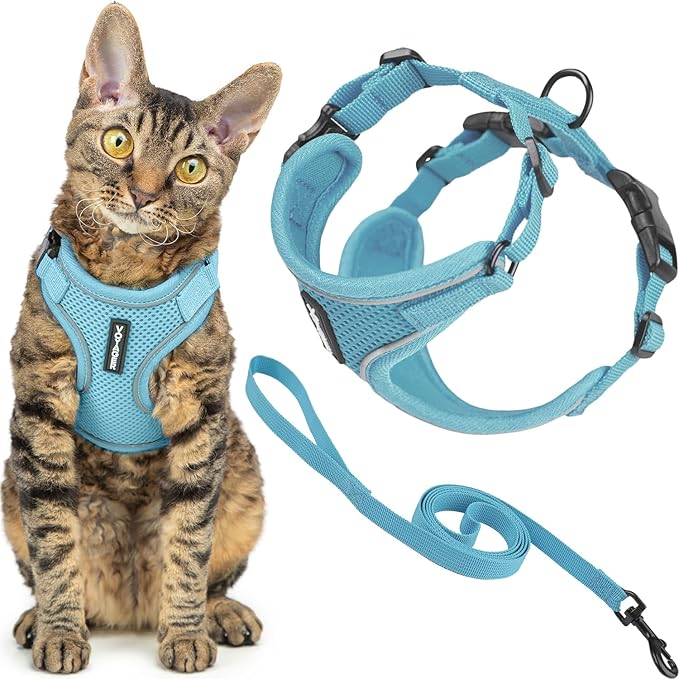 Voyager Escape Proof Cat Harness and Leash Set with Reflective Stitching, Neoprene Handle 5ft - Supports Small, Medium and Large Cats, Kittens for Walking by Best Pet Supplies - Baby Blue, XS