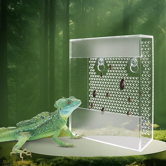 Transparent Acrylic Reptile Feeder Box, Wall-Mounted Insect Feeder with Suction Cups, Tank and Aquarium Accessories for Bearded Dragon, Lizard, Gecko, Frog