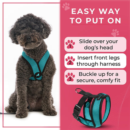 Gooby Comfort X Head in Harness - Turquoise, X-Large - No Pull Small Dog Harness, Patented Choke-Free X Frame - On The Go Dog Harness for Medium Dogs No Pull, Small Dogs for Indoor and Outdoor Use