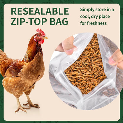 Dried Mealworms 5LB, 100% Natural, Non-GMO Mealworms for Chickens – High Protein Chicken Feed Meal Worms for Wild Birds, Chickens, Ducks and Turtles