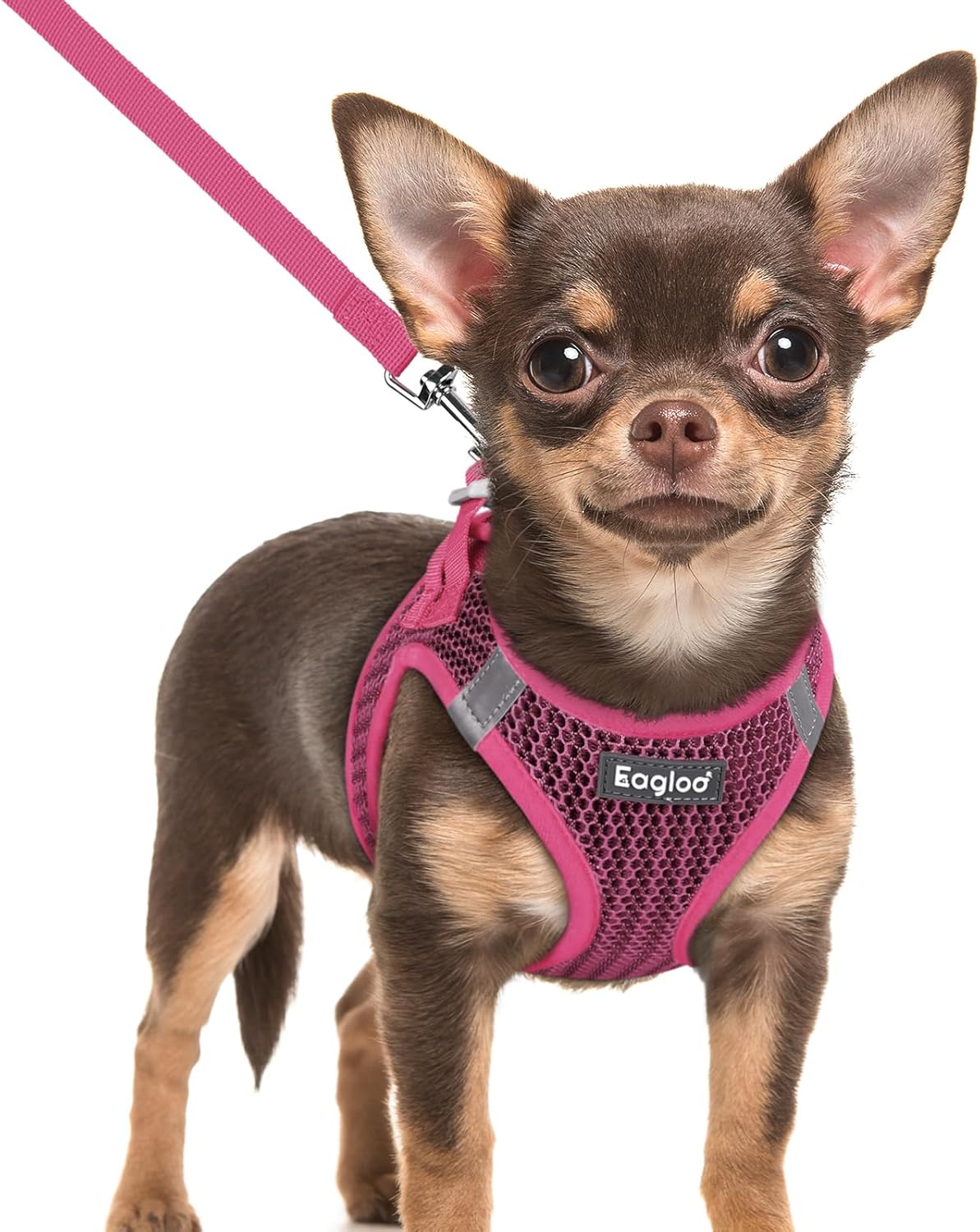 Eagloo Small Dog Harness and Leash Set, Step in Puppy Vest with Breathable Soft Mesh, Walking Reflective Pet Harness for Extra Small Dogs, Rose Red, XXS