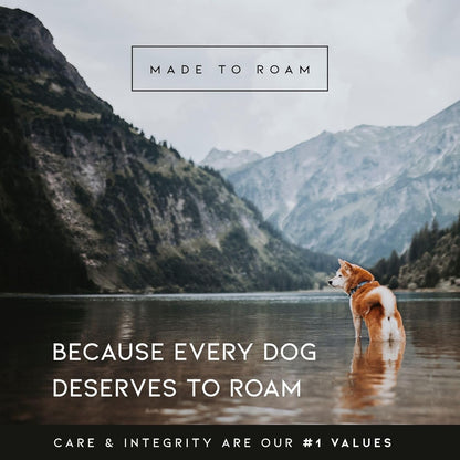 MADE TO ROAM Premium Explorer Harness - Y-Shaped Dog Harness with Adjustable Durable Nylon, Soft Padding, Metal Buckles and Leather Handle for Small, Medium, Large Dogs (Montana Moonrise, Size 7)