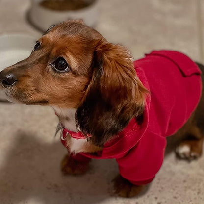 Jecikelon Winter Dog Hoodie Sweatshirts with Pockets Warm Dog Clothes for Small Dogs Chihuahua Coat Clothing Puppy Cat Custume (Wine red, X-Large)