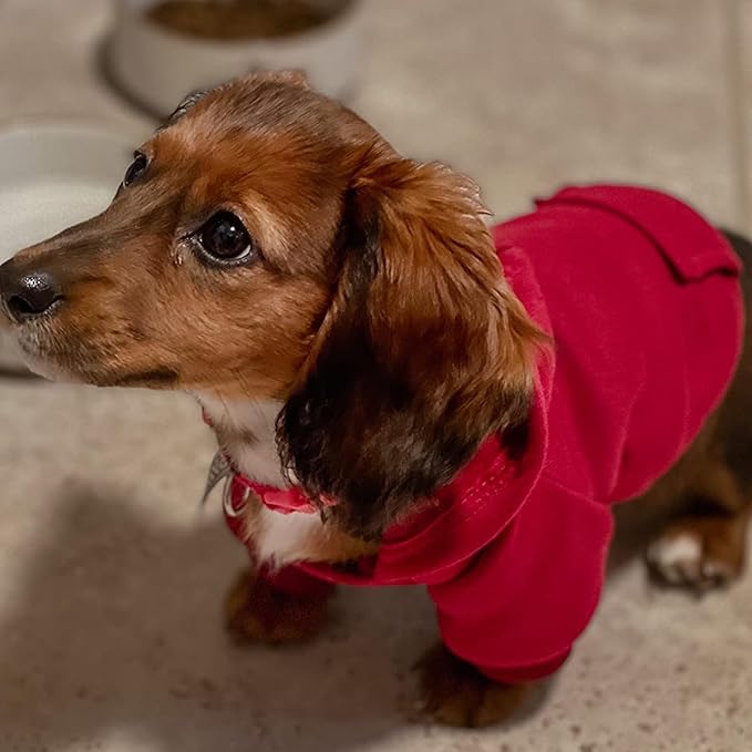 Jecikelon Winter Dog Hoodie Sweatshirts with Pockets Warm Dog Clothes for Small Dogs Chihuahua Coat Clothing Puppy Cat Custume (Wine red, Large)