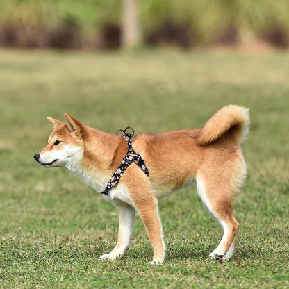 QQPETS Dog Harness Leash Set Adjustable Heavy Duty No Pull Halter Harnesses for Small Medium Large Breed Dogs Back Clip Anti-Twist Perfect for Walking (L(23"-32" Chest Girth), White Daisy)