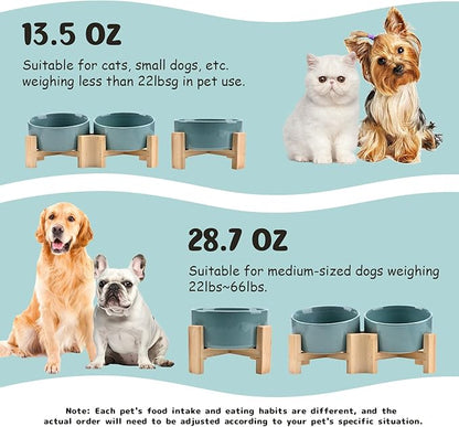 SPUNKYJUNKY 15° Slanted Ceramic Dog and Cat Bowl with Wooden Stand, Tilted Bulldog Food and Water Bowl No Slip Non-Spill for Cats Medium Dogs Big Face Pets 13.5 OZ (1.7 Cups, Light Green × 2)