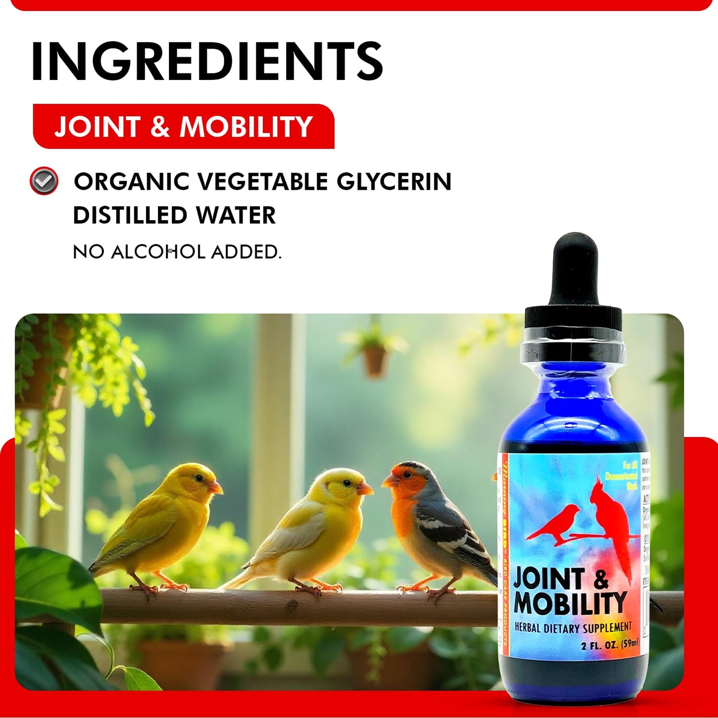 Morning Bird Joint & Mobility 2 fl oz – Muscle Pain Relief Supplement for Joint Health, Stop Pain & Arthritis Supplements – Herbal Liquid Formula for Aging, Injured, or Stressed for All Bird Types