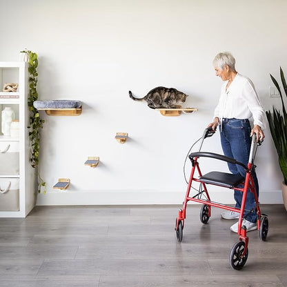 Cat Wall Shelves – Cat Wall Climber with Scratching Post, Removable Bed, Climbing Steps, and Feeding Terrace with Glass Bowls, Waterproof Rubberwood Pet Furniture