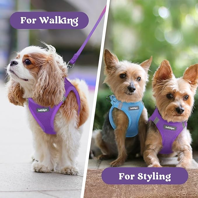 rabbitgoo Small Dog Harness, Step-in Soft Mesh Puppy Vest with Safety Buckle, Breathable Reflective Pet Harness for Extra Small Dogs, Purple XXS