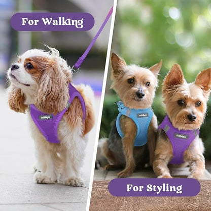 rabbitgoo Small Dog Harness, Step-in Soft Mesh Puppy Vest with Safety Buckle, Breathable Reflective Pet Harness for Small Sized Dogs, Purple S