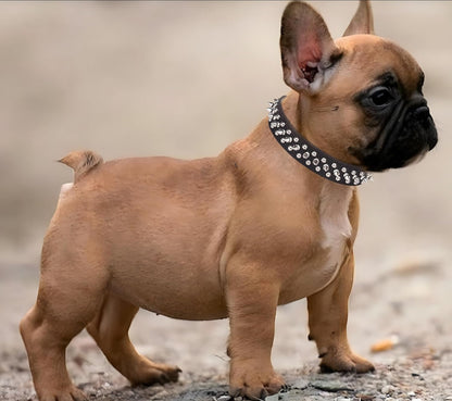 Serijoars Spiked Dog Collar Soft Pu Leather Mushrooms Rivet Spike Studded Dog Collar Adjustable Puppy Collars (XS, White)