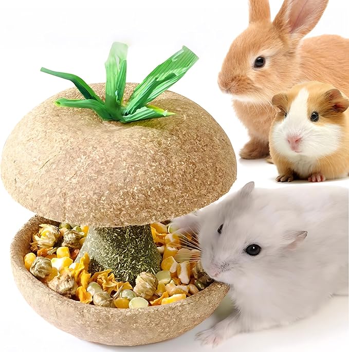 mini&moe Hamster Chew Toys for Teeth - Guinea Pig Chew Toys for Teeth Food Chews Treats Hamster Cage Accessories for Rabbit, Bunny, Chinchilla, Rat and Small Animal 3.1in Apple Core Shaped