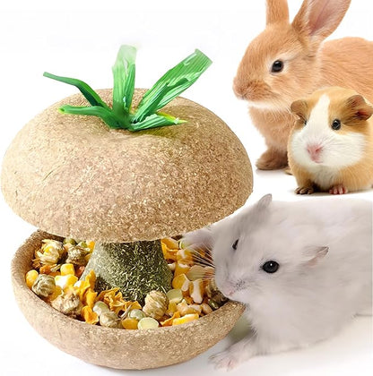 mini&moe Hamster Chew Toys for Teeth - Guinea Pig Chew Toys for Teeth Food Chews Treats Hamster Cage Accessories for Rabbit, Bunny, Chinchilla, Rat and Small Animal 3.1in Apple Core Shaped