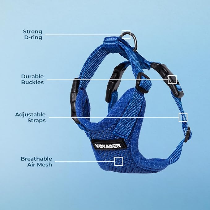 Voyager Step-in Lock Adjustable Cat Harness w. Cat Leash Combo Set with Neoprene Handle 5ft - Supports Small, Medium and Large Breed Cats by Best Pet Supplies - Royal Blue, S
