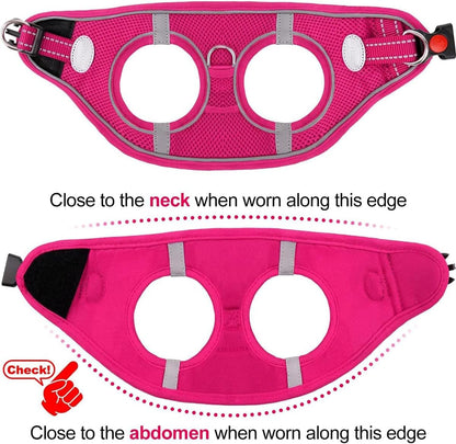 Joytale Small Dog Harness, Breathable Mesh Step-in Vest, Reflective Soft Padded Harnesses for Cats, Puppies and Extra Small Dogs, Hot Pink, XXS