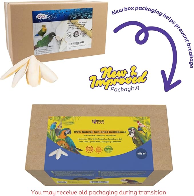 Birds LOVE Natural Cuttlebone – Premium Calcium for Cockatiel, Parrots, Tortoise, Snails, Crabs and Chinchillas - Pure Cuttlebone for Birds - Parakeet Food and Bird Treats - 4lb, Size 5.5 to 6"