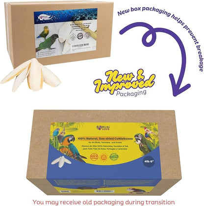 Birds LOVE Natural Cuttlebone – Premium Calcium for Cockatiel, Parrots, Tortoise, Snails, Crabs and Chinchillas - Pure Cuttlebone for Birds - Parakeet Food and Bird Treats - 4lb, Size 5.5 to 6"