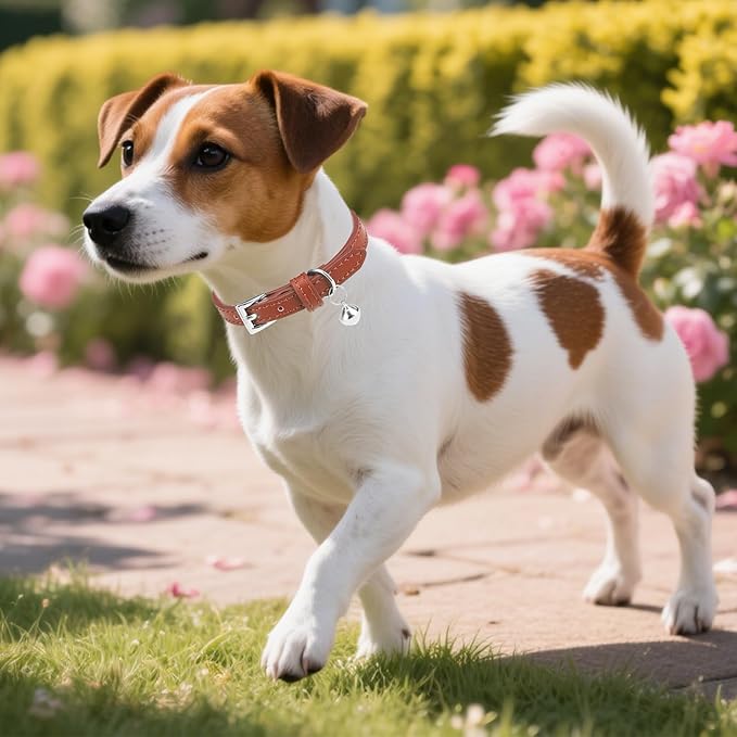 PUPTECK 2 PCS Soft Genuine Leather Cat Kitten Collar with Bells Adjustable for Girl Boy Cats Puppy - Cream, Brown