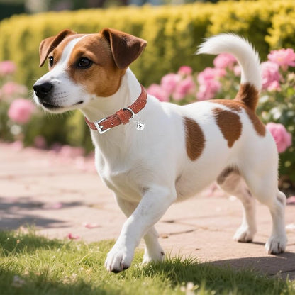 PUPTECK 2 PCS Soft Genuine Leather Cat Kitten Collar with Bells Adjustable for Girl Boy Cats Puppy - Cream, Brown