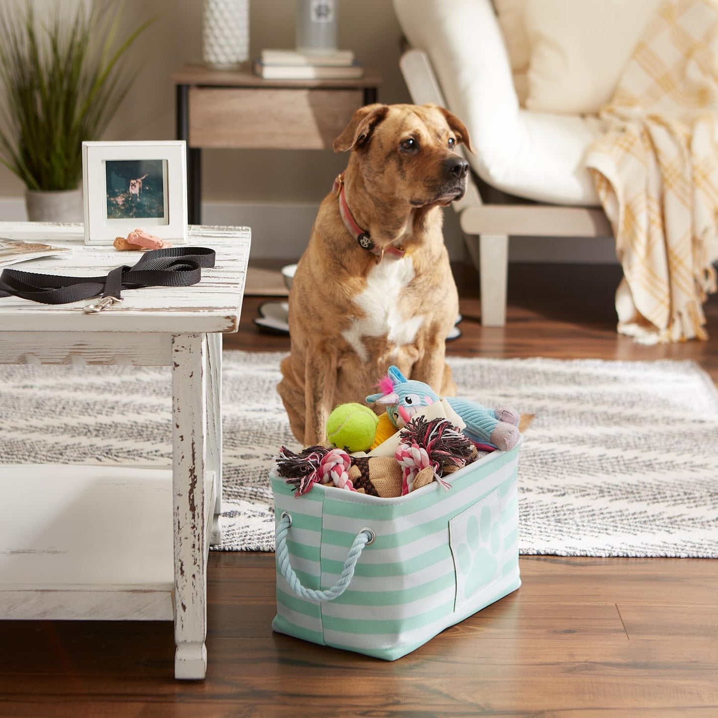 Bone Dry Pet Storage Collection Striped Paw Patch Bin, Aqua, Small Rectangle