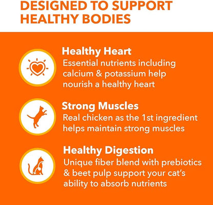 IAMS Proactive Health Adult Healthy Dry Cat Food with Chicken, 3.5 lb. Bag