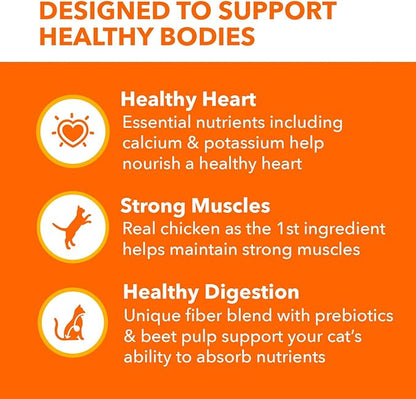 IAMS Proactive Health Adult Healthy Dry Cat Food with Chicken, 22 lb. Bag