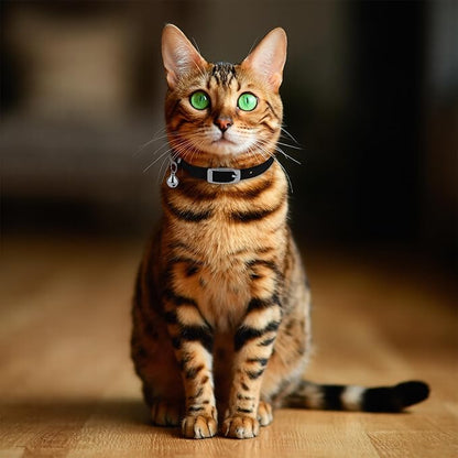 OOPSDOGGY Rolled Leather Cat Collar with Bell, Reflective Kitten Collars with Buckle Include Safety Elastic Strap - Adjustable Small Pet Collars for Boy Girl Cats (Black)